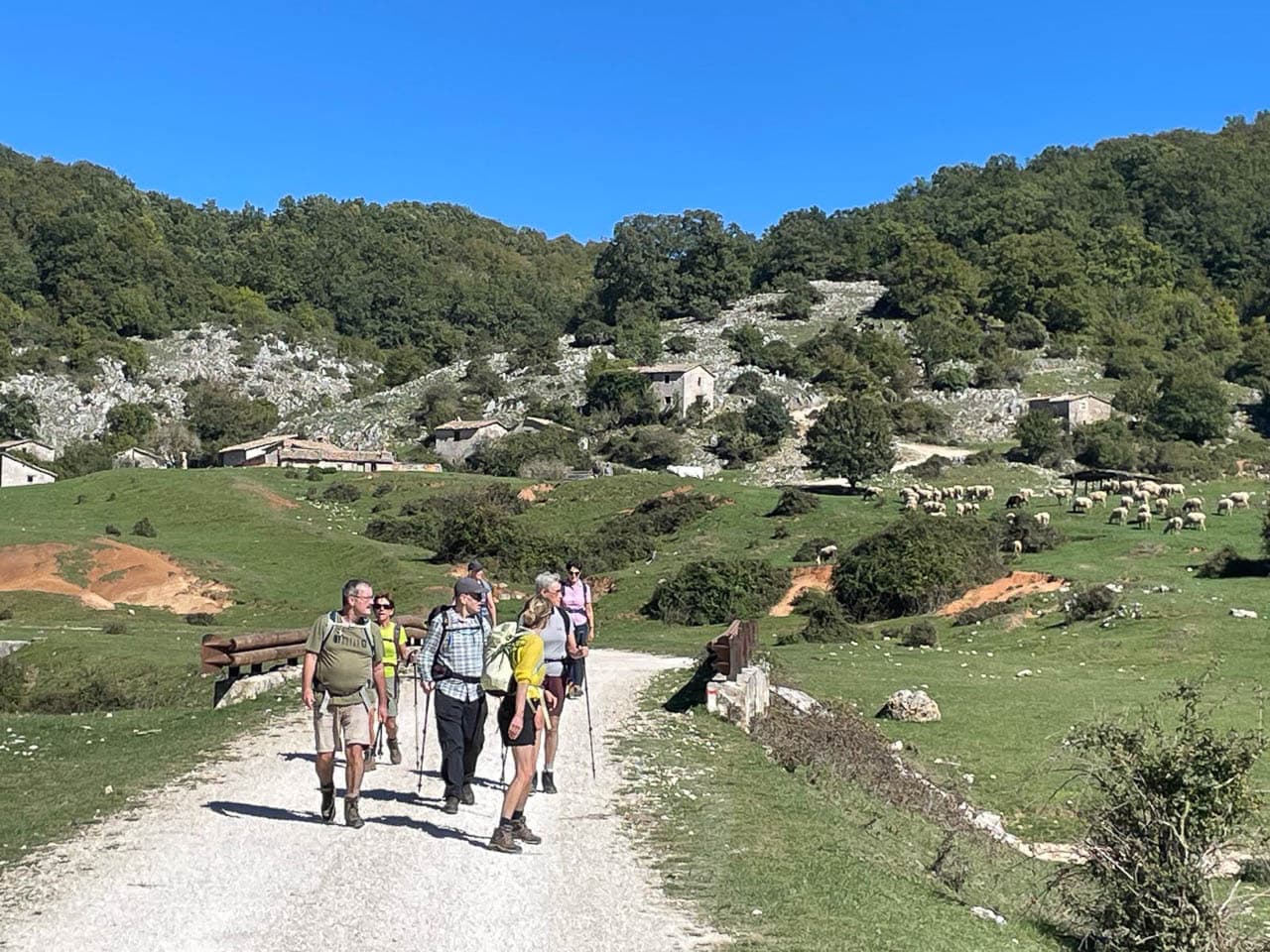 Selectie Whatsapp Image 2025 10 30 At 14.59.11 (7) Geert Oppeel