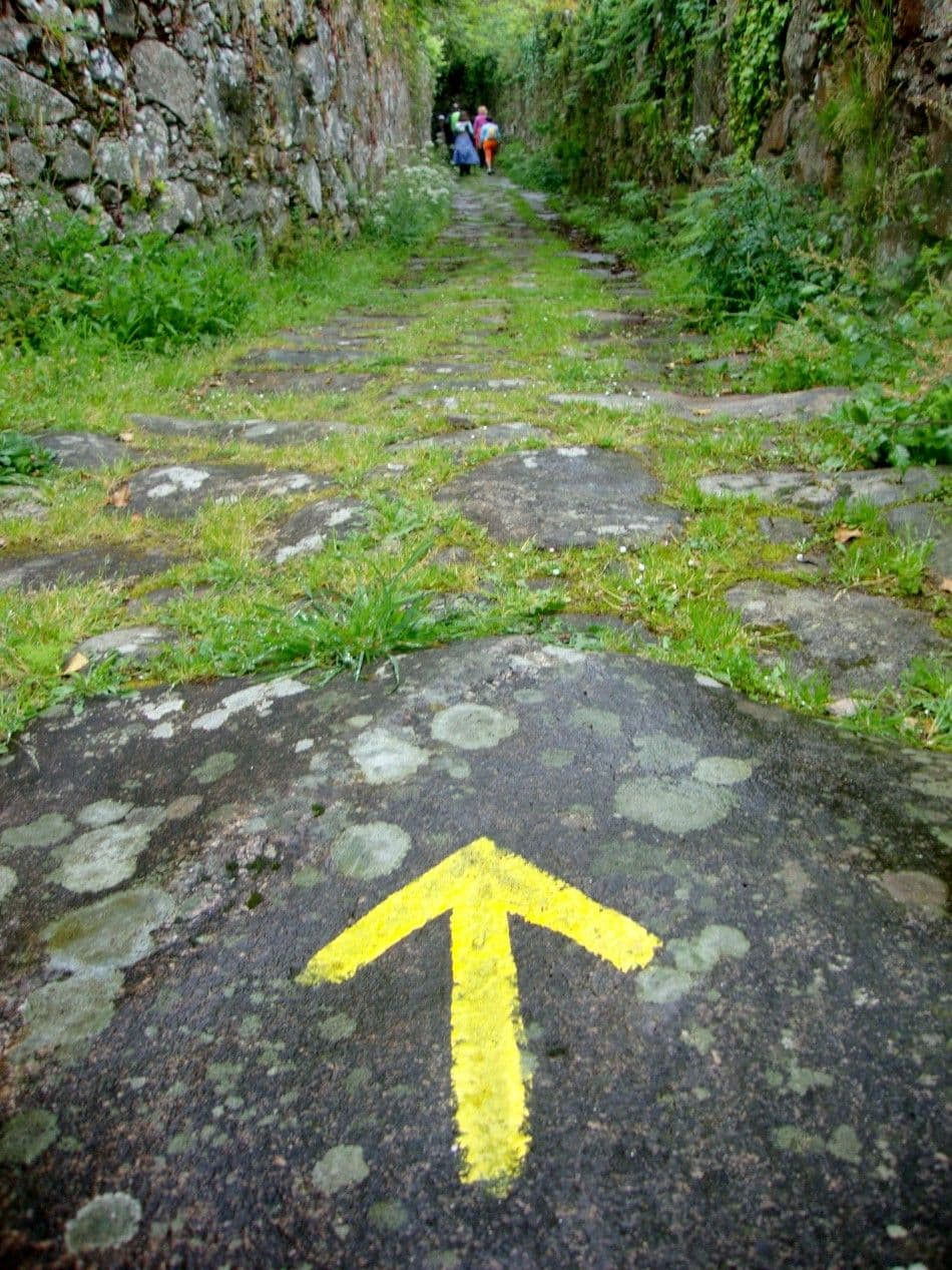 Caminho-Portugues-DSC00337-Custom