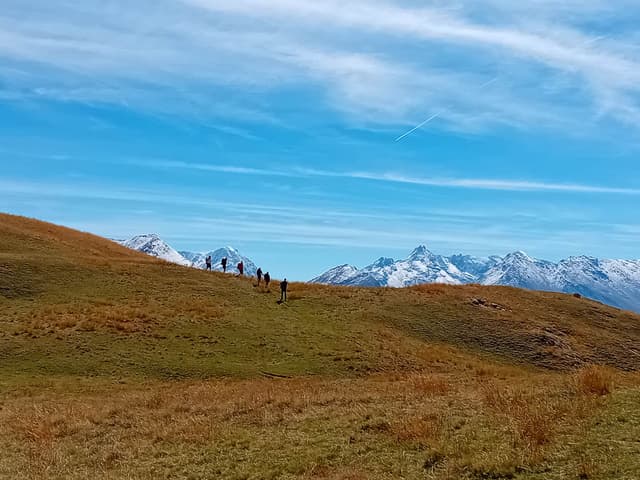 20230831_121019-FR5VNA Maarten Caversoons-Maarten Caversoons-w950