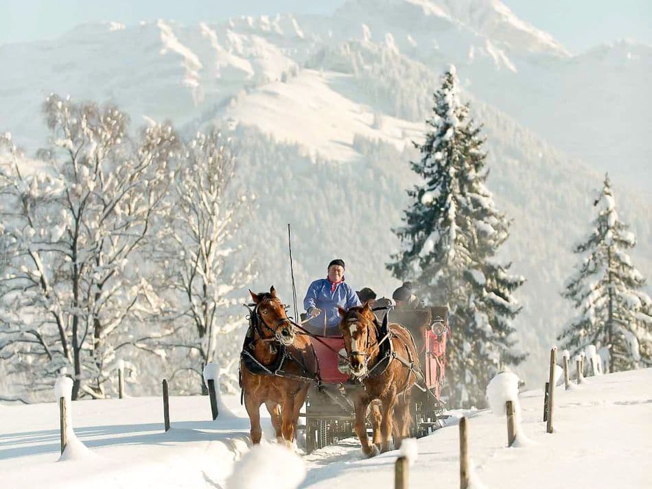 Schwellbrunn_Kutschenfahrt_export_w950