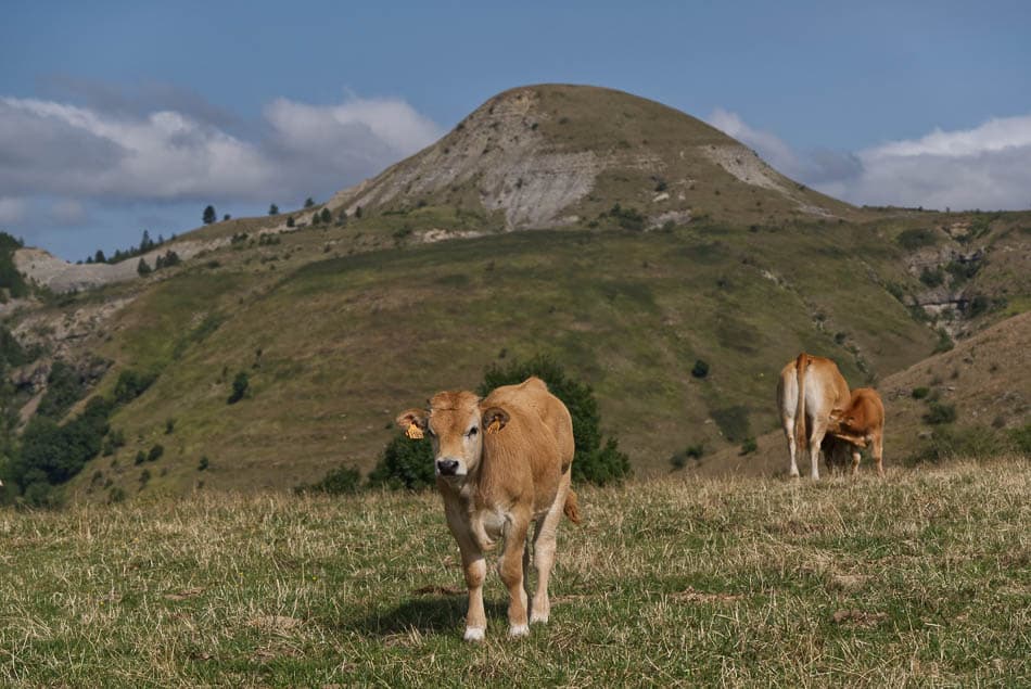 Leen Jansen DSCF5073 Leen Jansen Leen Jansen W950