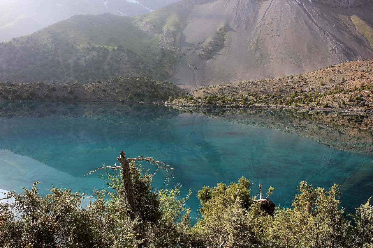 Mutsaerts Dirk IMG 7758 Dirk Mutsaerts