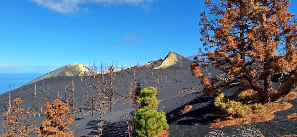 20240920 104322 Te Verwerken Rob Vanderhaeghe W950