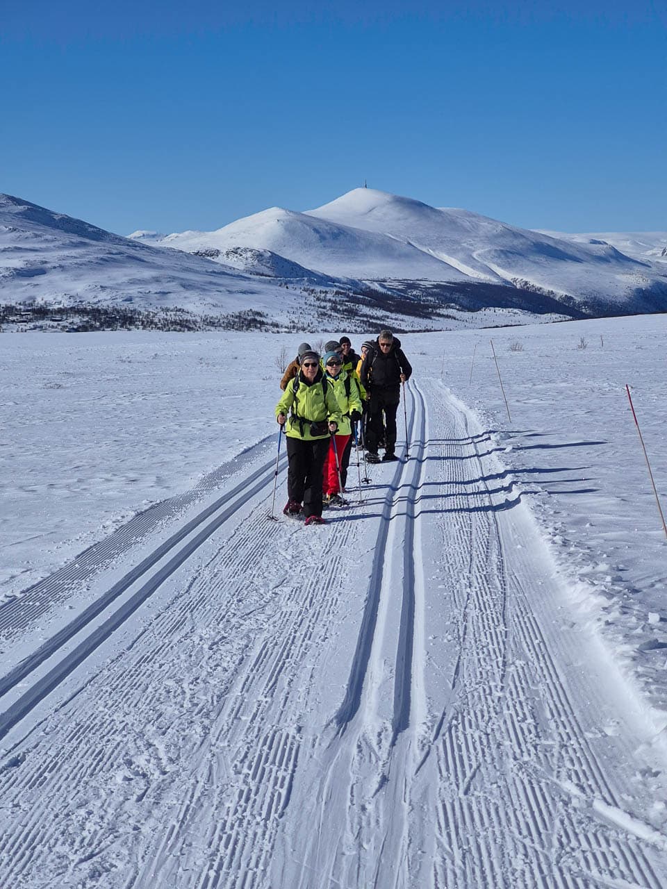 Selectie 20250313 121958 Edwin Vriesema