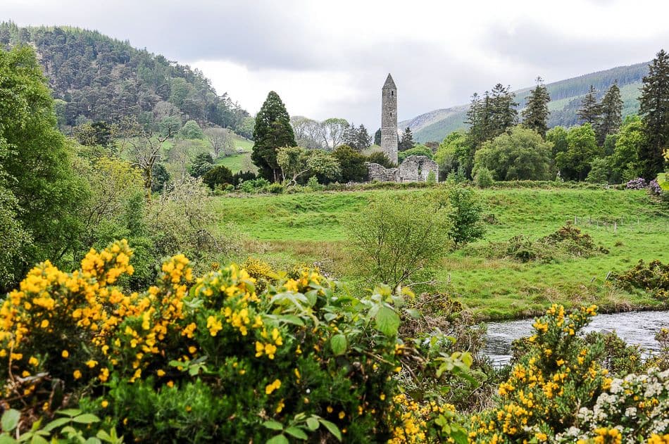 DSC_9391_export_w950 (2)