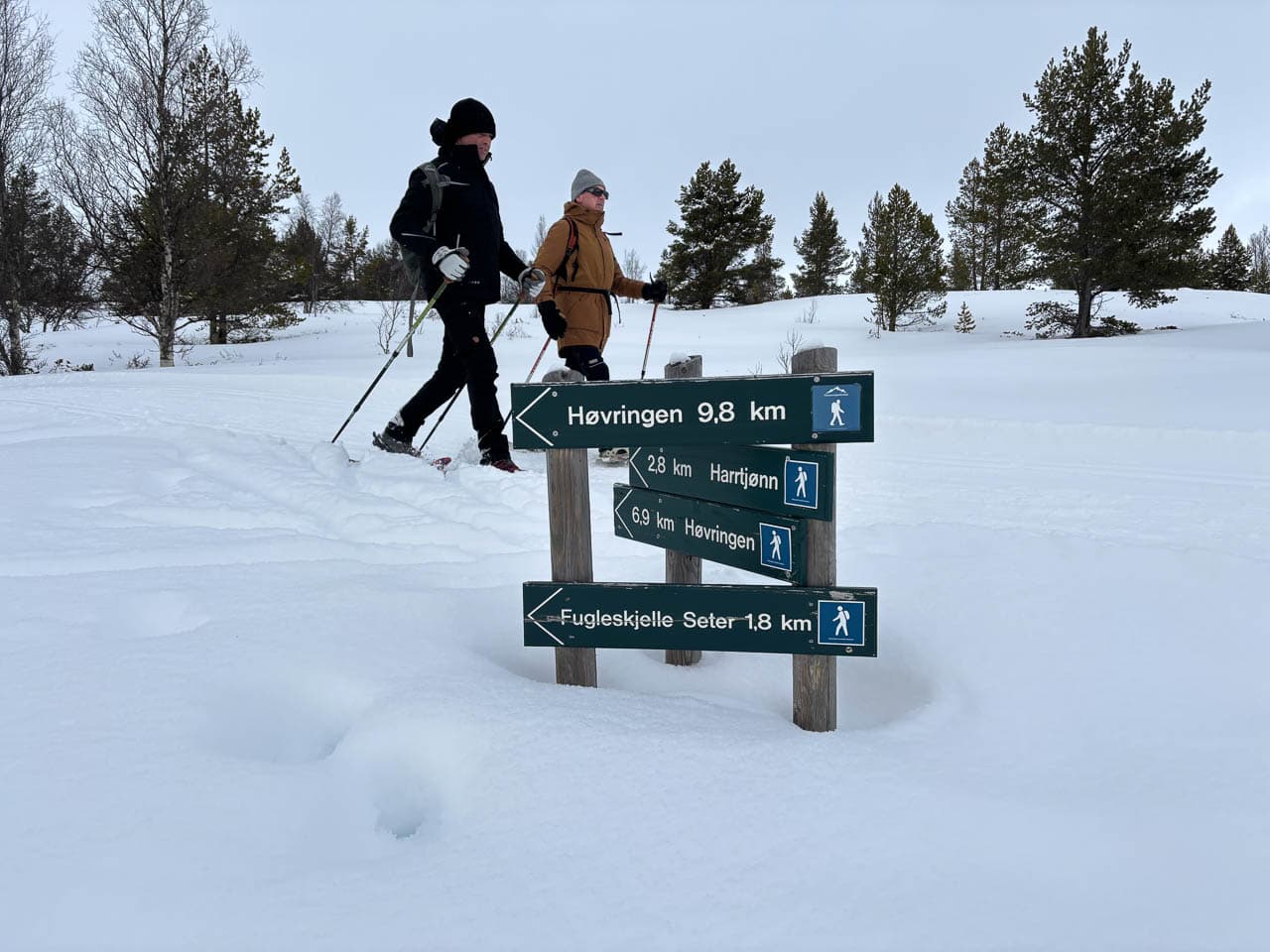 Selectie IMG 5556 Dirk Akkermans