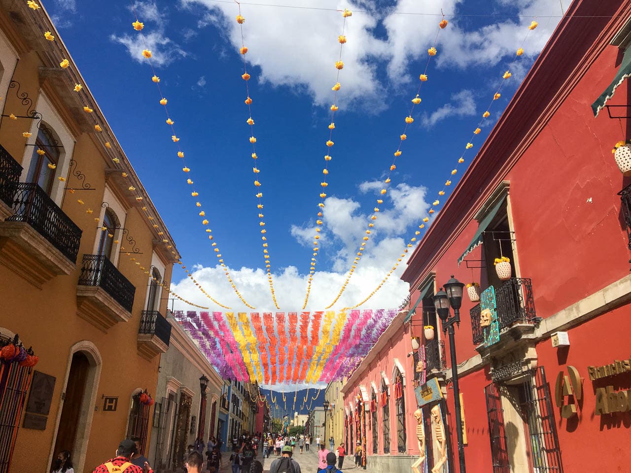 IMG 9497 Selectie Murielle Coppin W1280