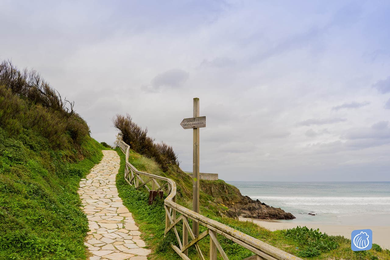 Selectie Dsc00083galiwonders LOGO ANTIGUO