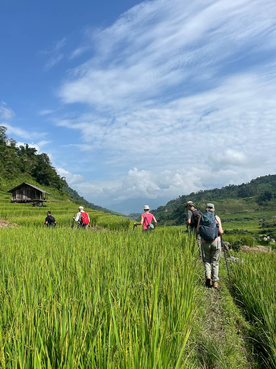 Selectie Ngan Nguyen IMG 4467 Ngan Nguyen