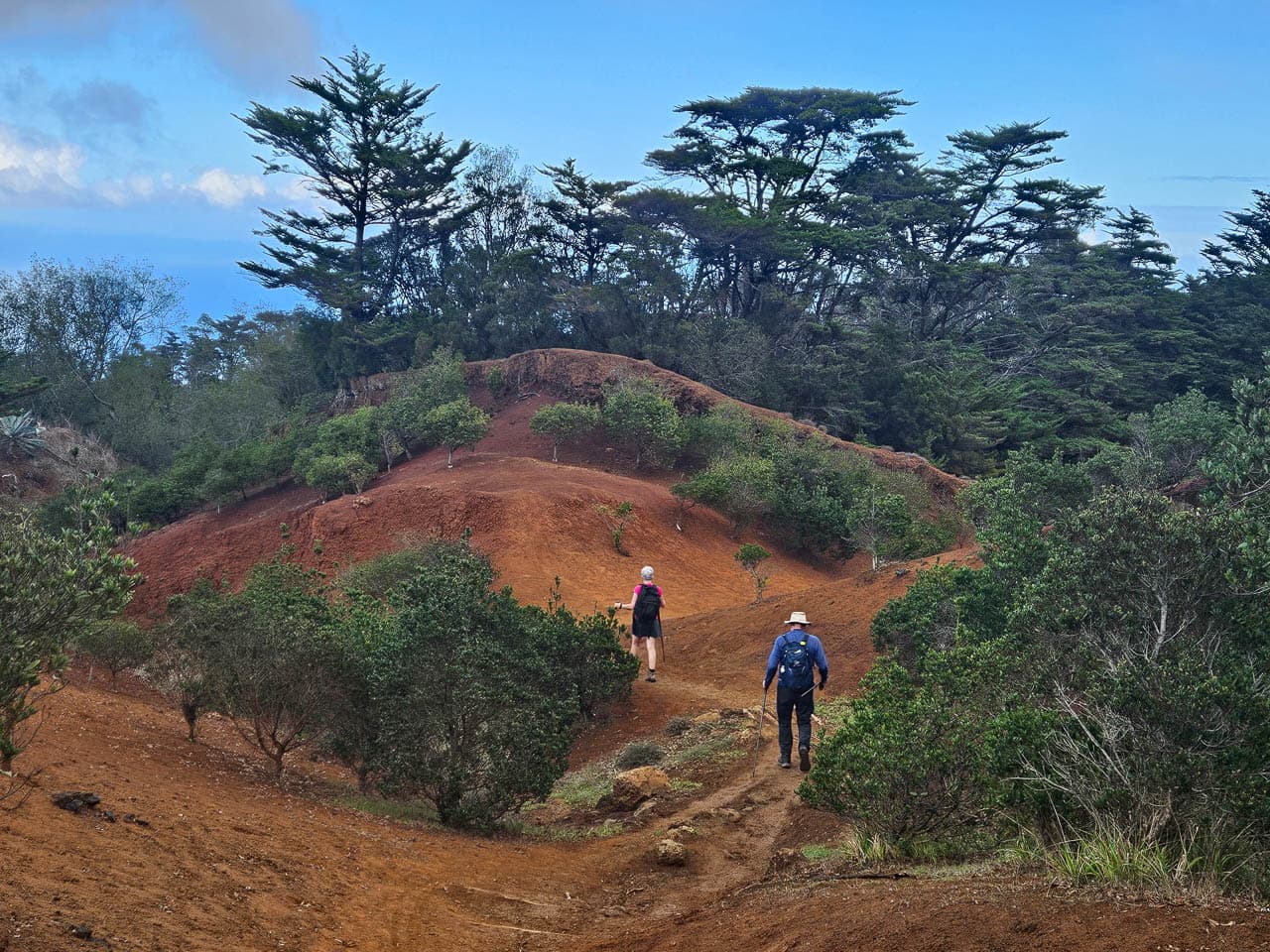 20241117 135428 Selectie Tom Dobbelaere W1280