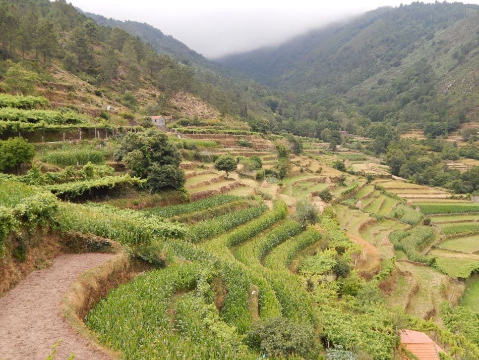 MA Minho DSCN8075_export