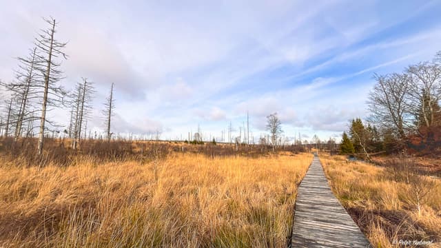 Venntrilogie 19 Ysebaert Peter Peter Ysebaert W1280