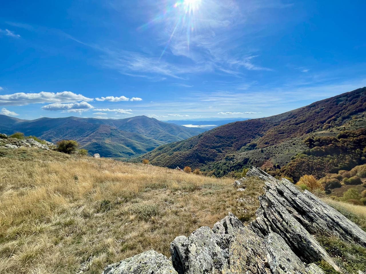 IMG 1434 Selectie Ruud Peten W1280