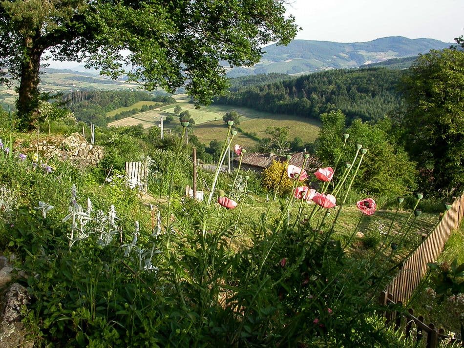 Beuajolais-06-Paul-Peeters-2-naam-vermelden_export_w950