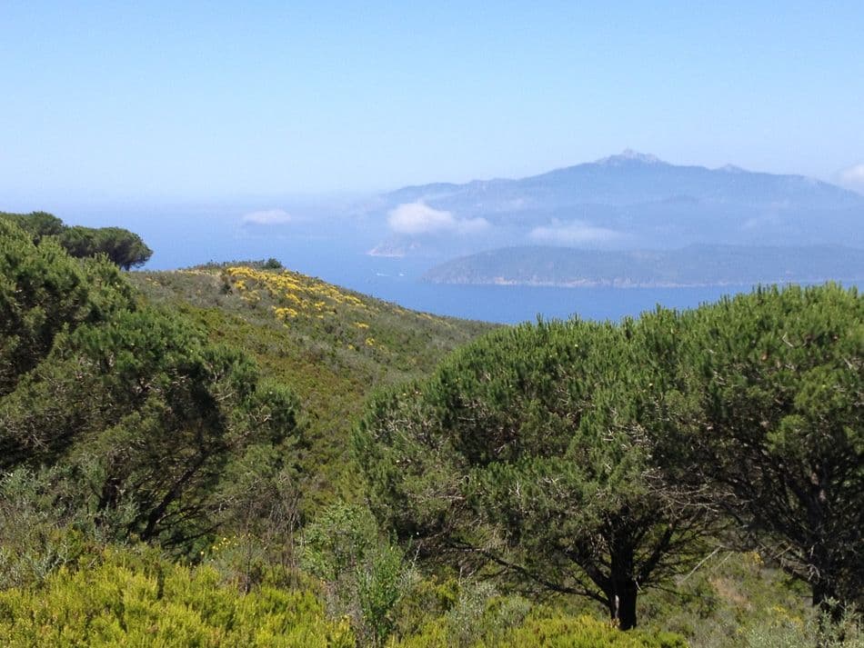 Elba-13-Bart-De-Winter-IMG_4715_export_w950