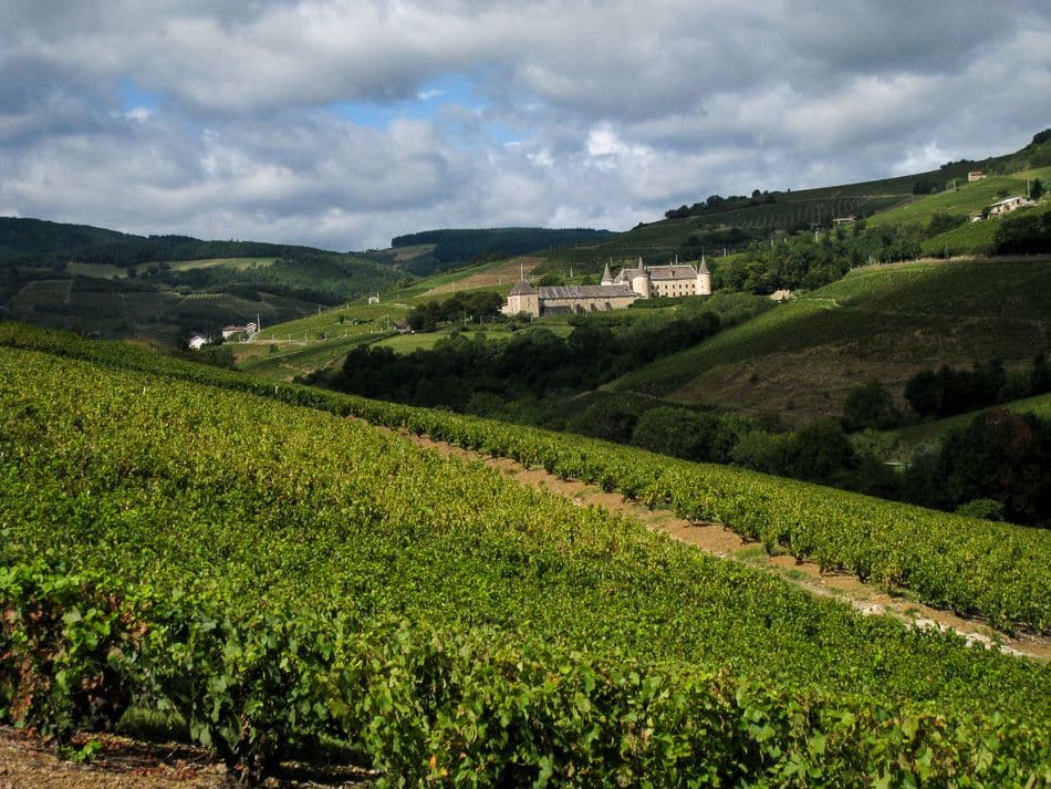 Beaujolais-Johan-Vandueren-IMG_1141_export_w950