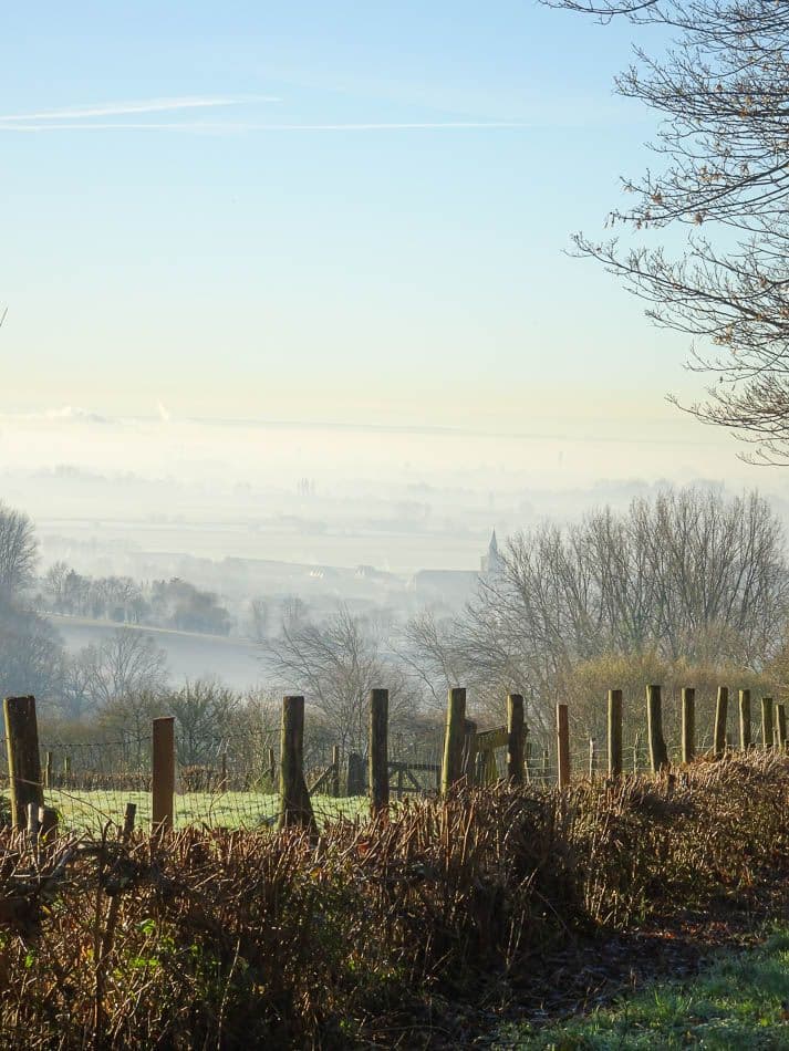 DSC00887_Johan Van Malderen_w950