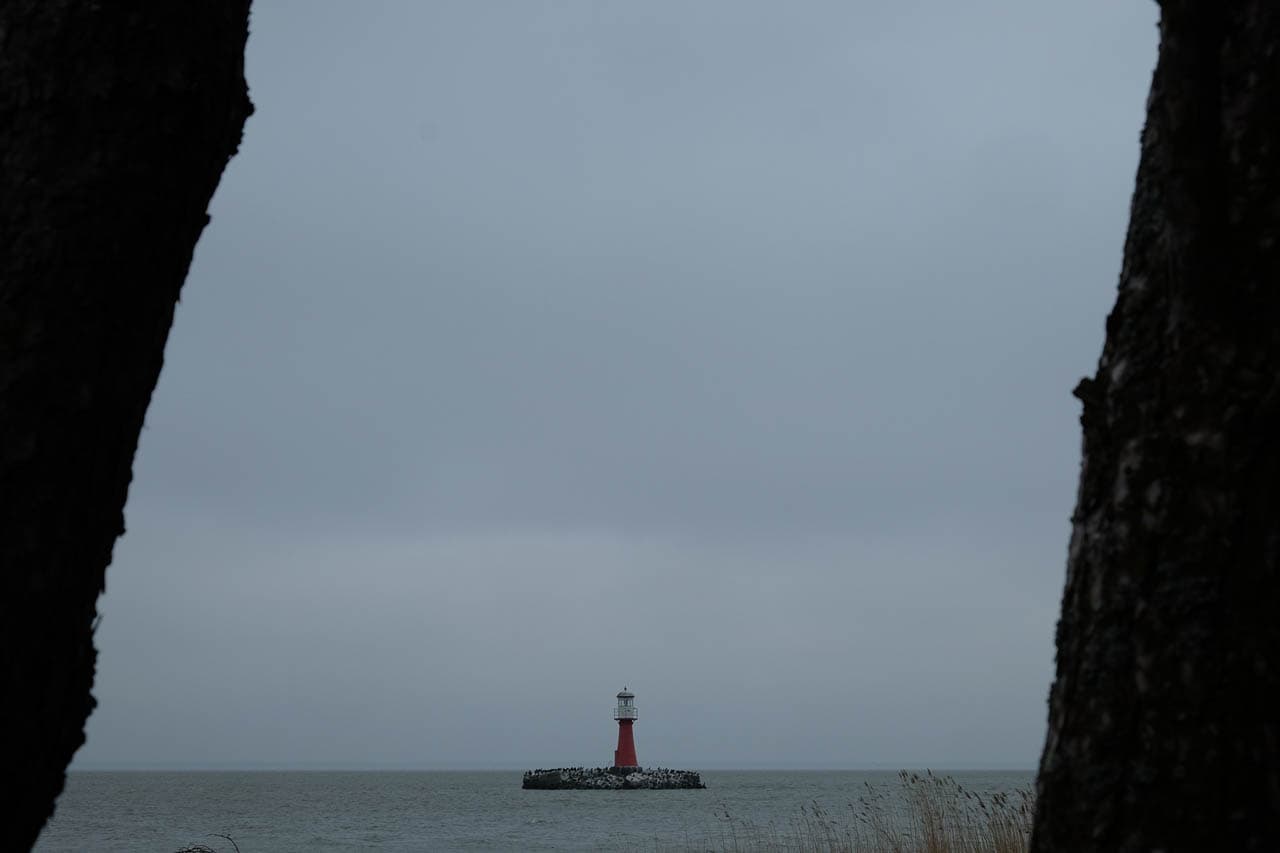 Website Selectie DSCF5547 Maarten Caversoons