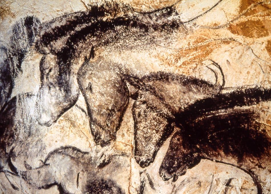 Ministere_de_la_culture_grotte_chauvet_chevaux04_export_w950