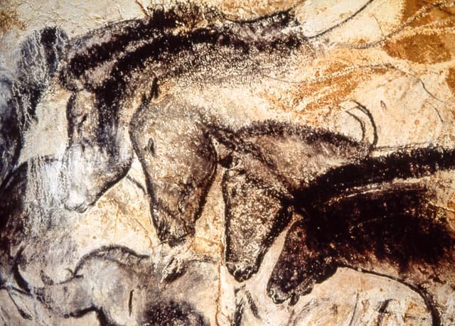Ministere_de_la_culture_grotte_chauvet_chevaux04_export_w950