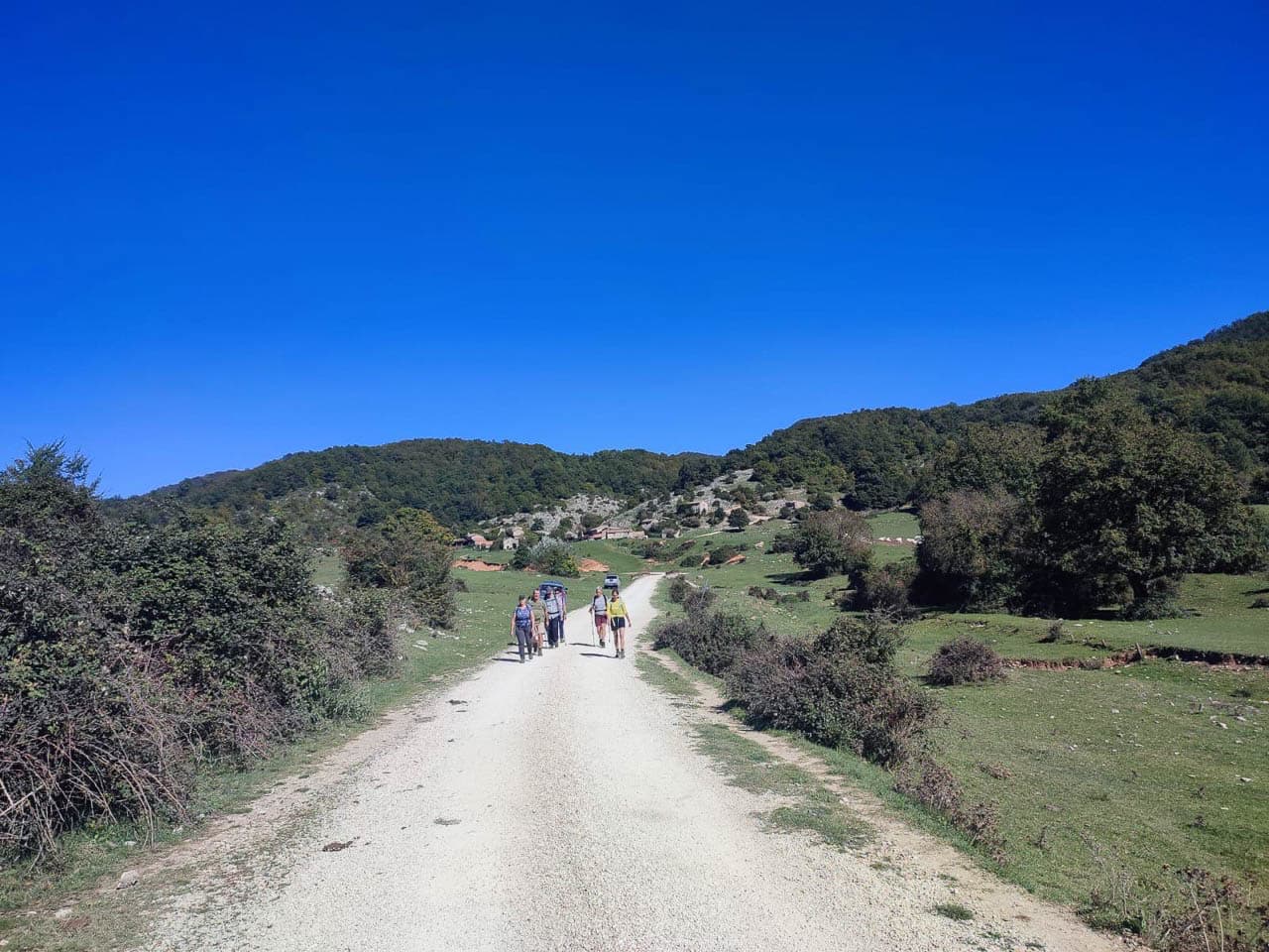 Selectie Whatsapp Image 2025 10 30 At 15.02.35 Geert Oppeel