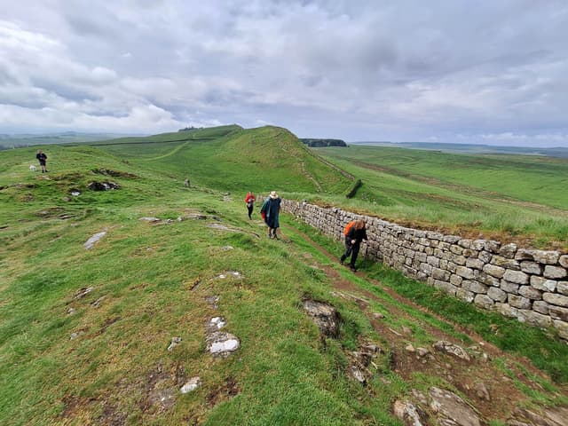 Selectie 20240521 132250 Willy Stoelzaet