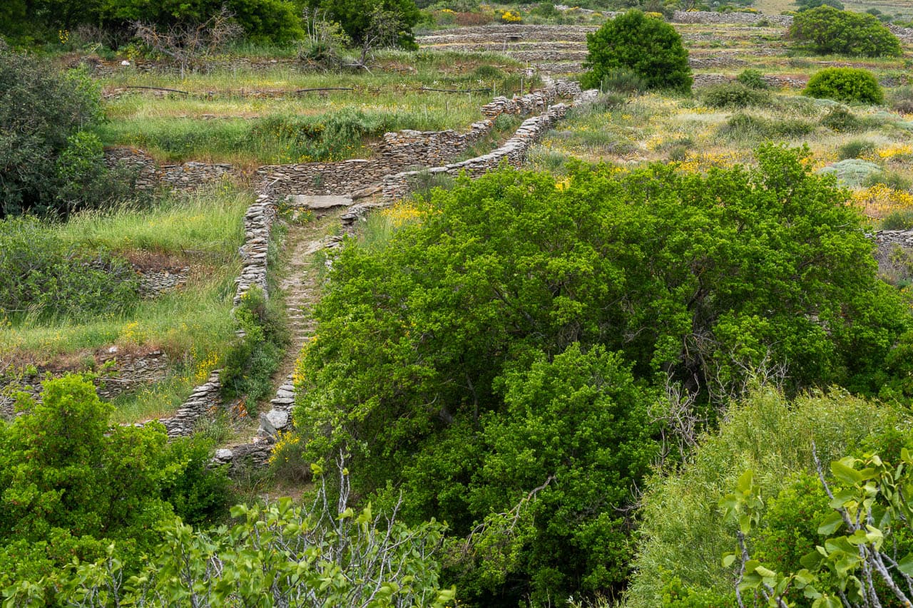 Selectie DSC 0457 Wim Hubaux