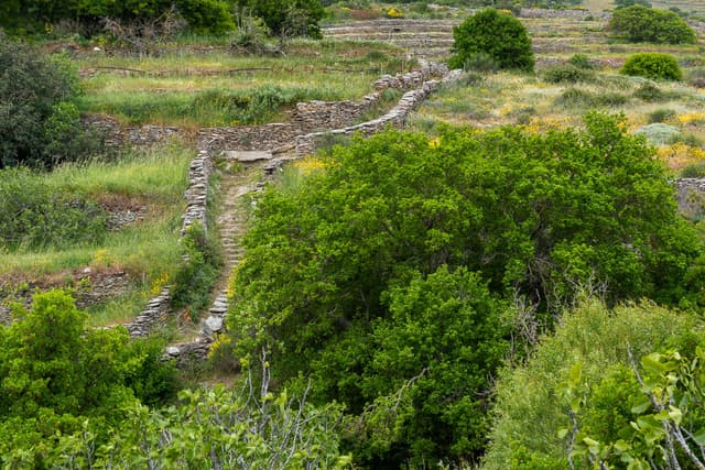 Selectie DSC 0457 Wim Hubaux