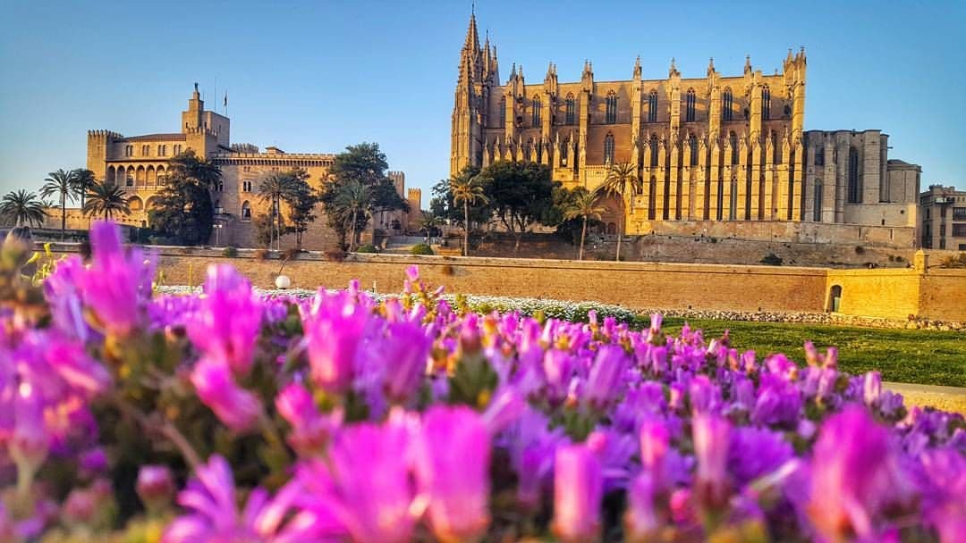 17991271_1168612153248206_2212901786766038512_o