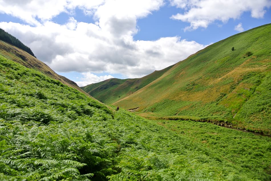 Wales 13 Pieter Verhaeghe DSC 1126 Export W950