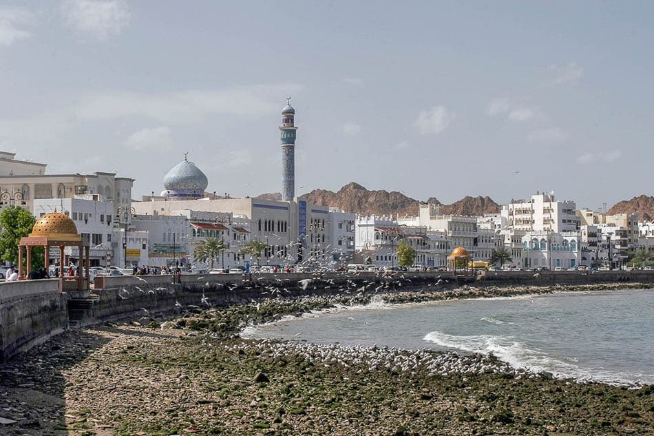 10 Selectie Rob Putseys W950