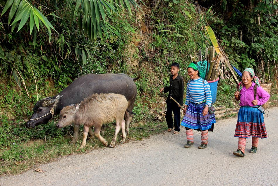 VN 345 Selectie Arne Vanwijnsberghe Arne Van Wijnsberghe W950