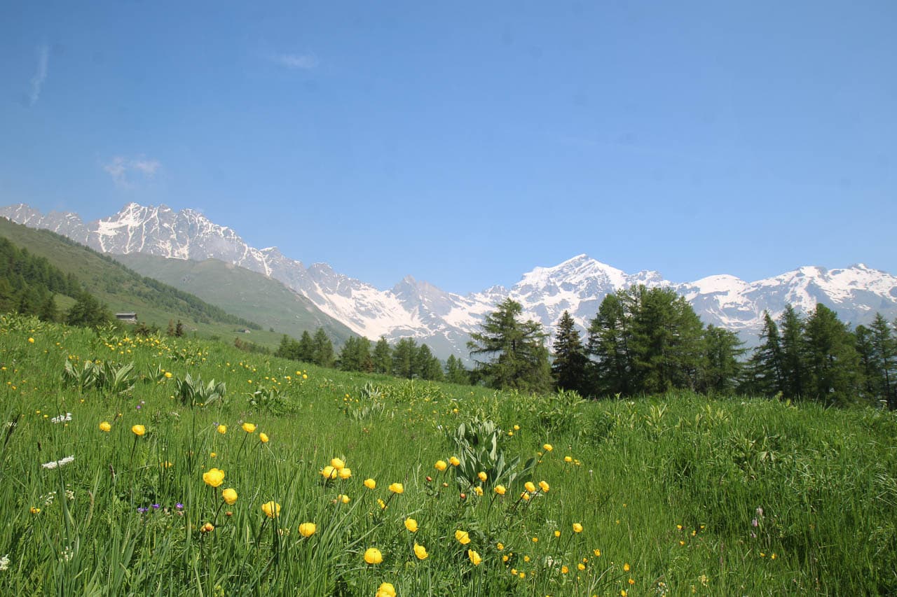 Jan Van Brabant IMG 0539 Jan Van Brabant