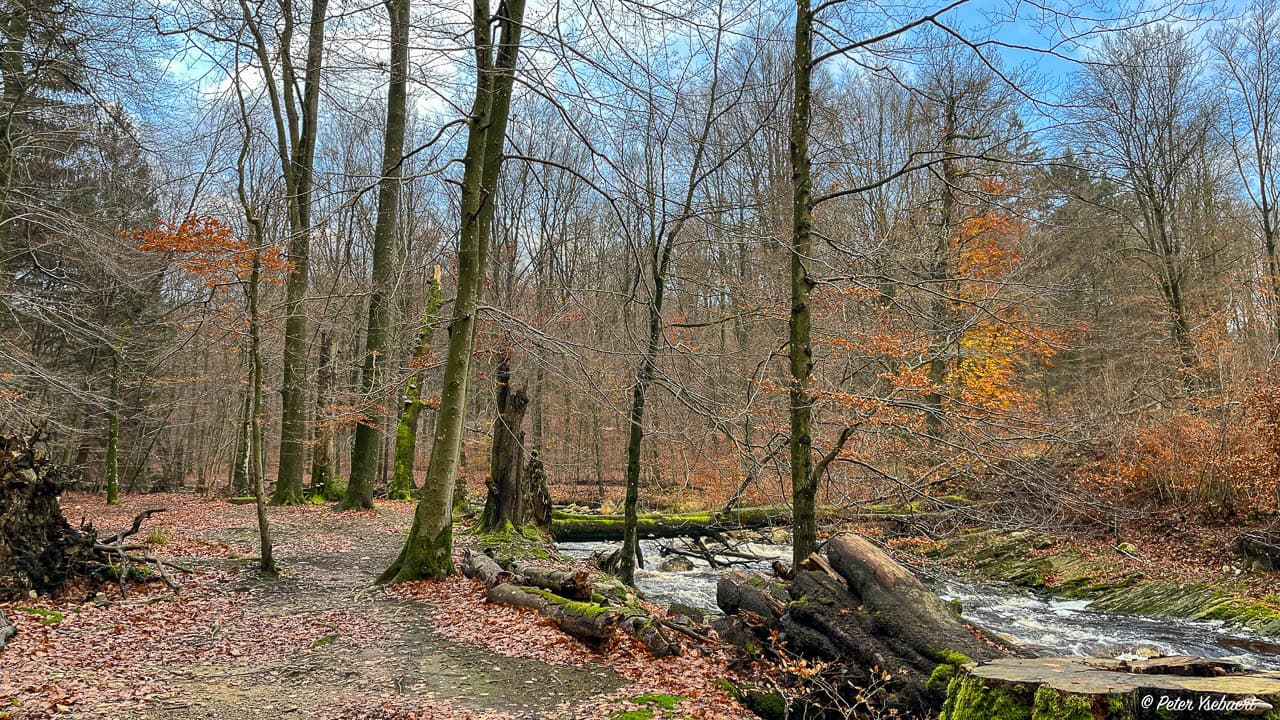 Venntrilogie 14 Ysebaert Peter Peter Ysebaert W1280