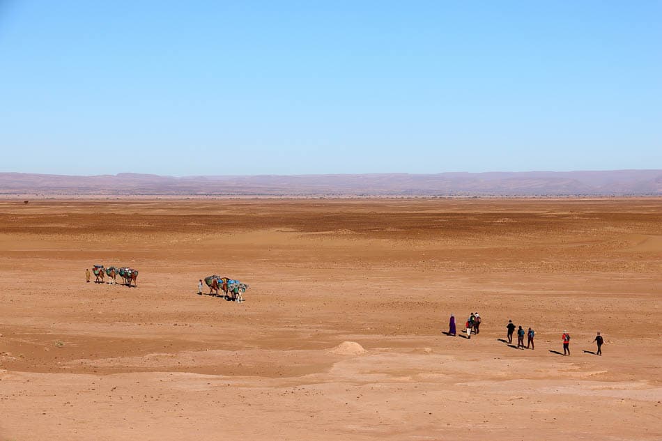 Sahara (35) Arne Vanwijnsberghe Arne Vanwijnsberghe W950