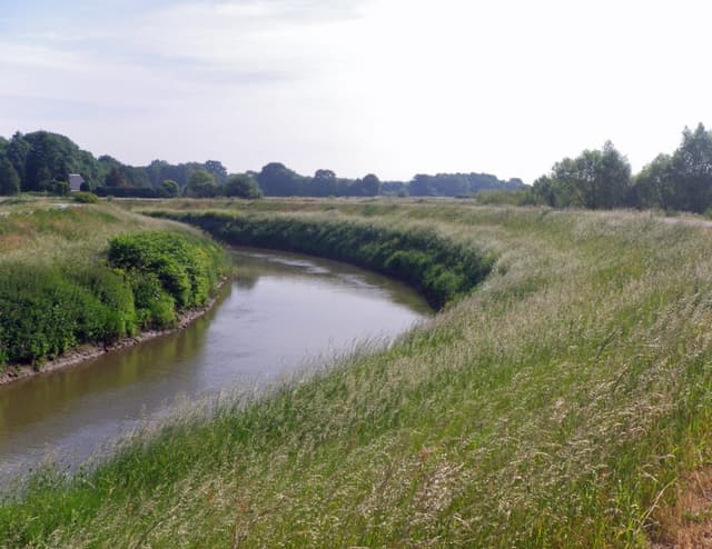 Haacht-Dijle_export