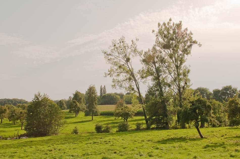 2012 08 19 Voeren 42B Chris Derynck_Chris Derynck_w950