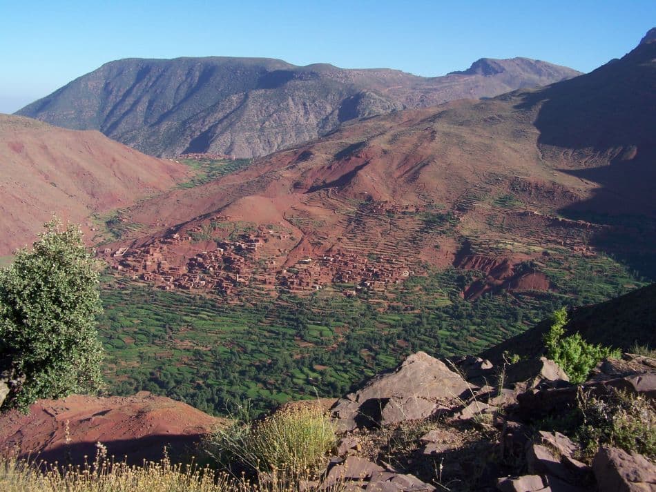 Atlas-O-W-Carlo-Borgers-09-reeks1-301_export