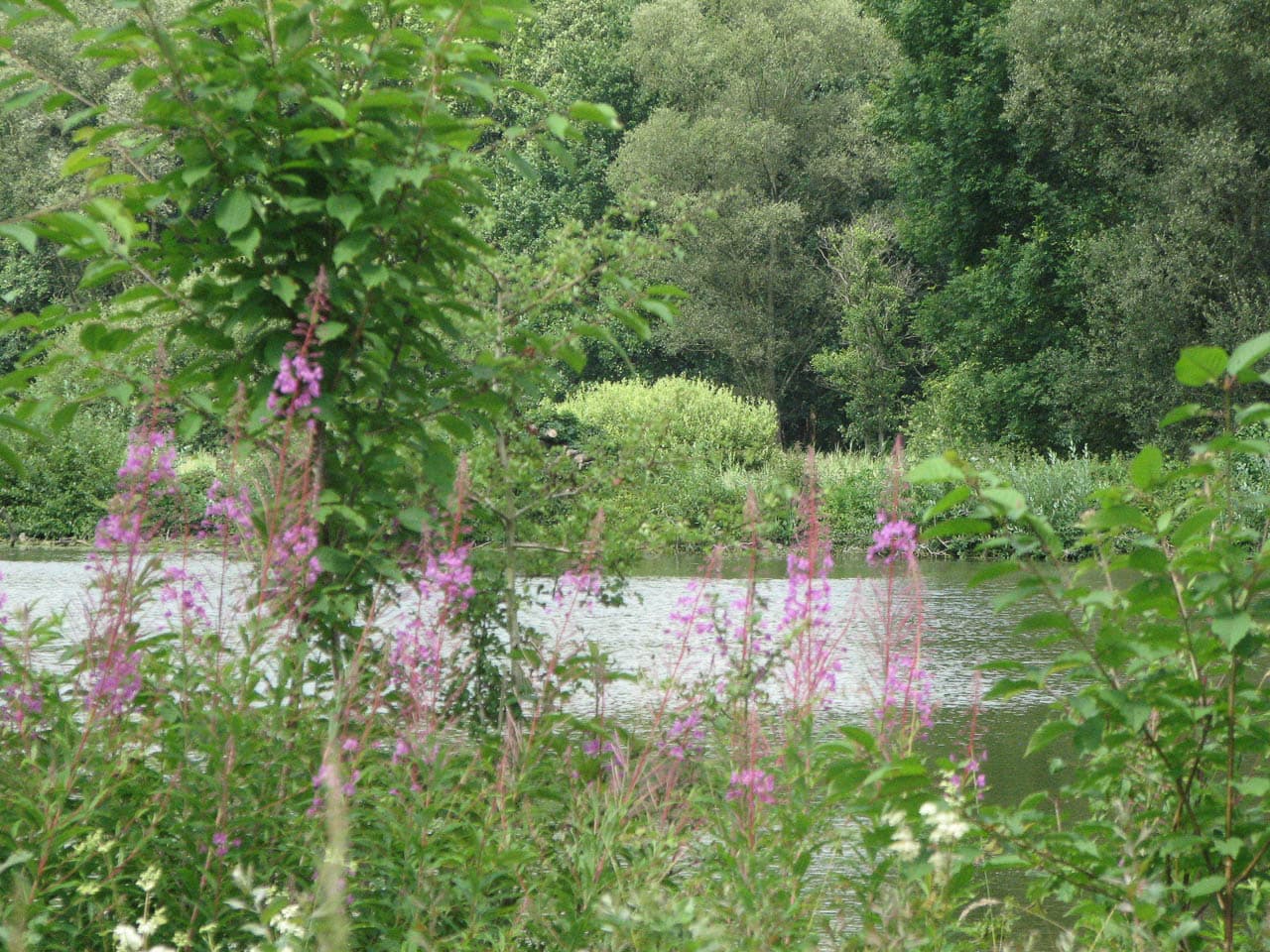 Selectie Bart Doode Bemdewandeling 3 (Lokaal Bestuur Huldenberg) Huldenberg