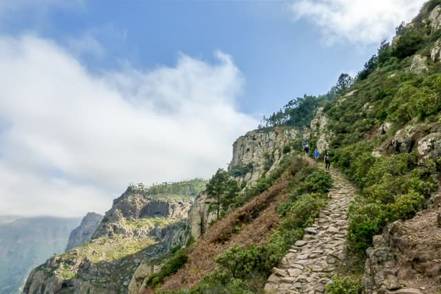 Gran Canaria Caroline Demolie 21 Export W950