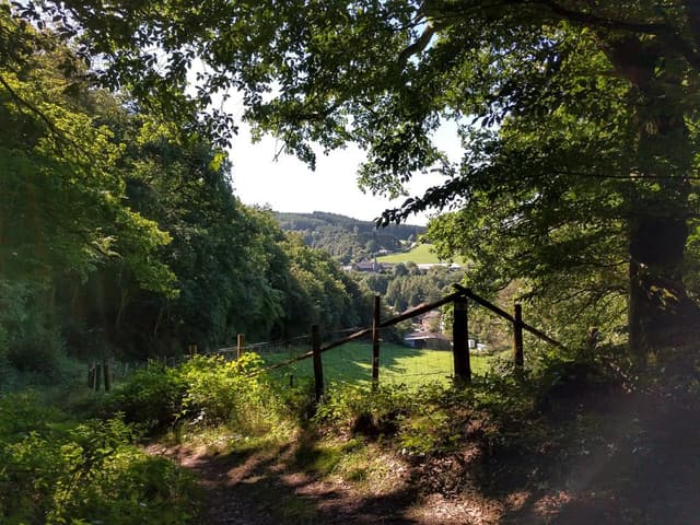 IMG_20160823_115152_export_w950