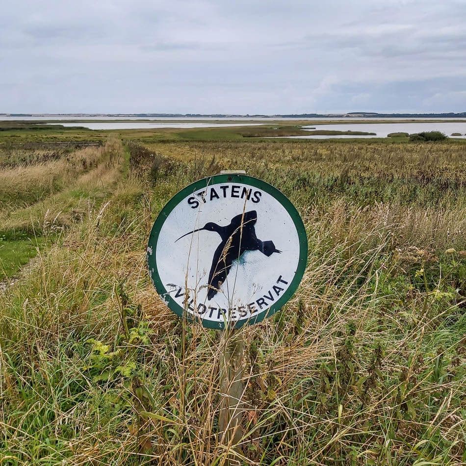 whatsapp-image-2021-10-09_katrien-boon_w950