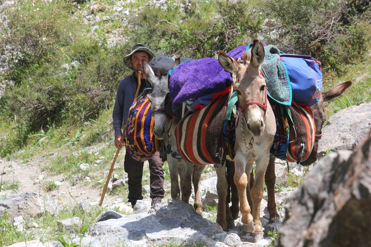 Mutsaerts Dirk IMG 8009 Dirk Mutsaerts