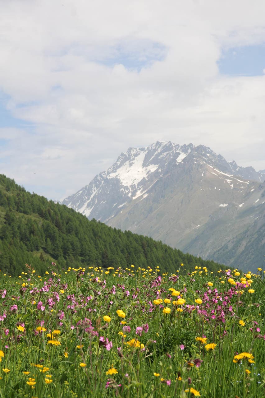 Jan Van Brabant IMG 0865 Jan Van Brabant