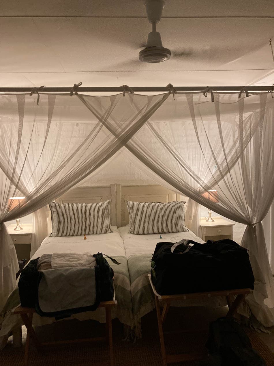 IMG 4923 ZA1 Anna Mertens Anna Mertens W950