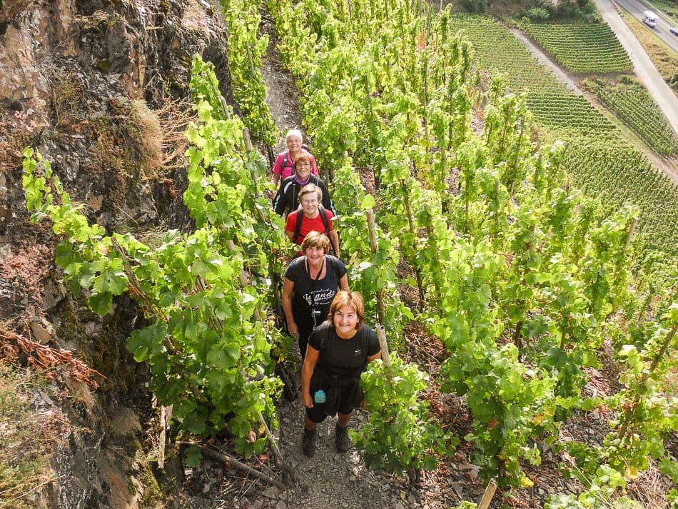 Moezel-12-Ann-Tilley-DSCI6643_export_w950