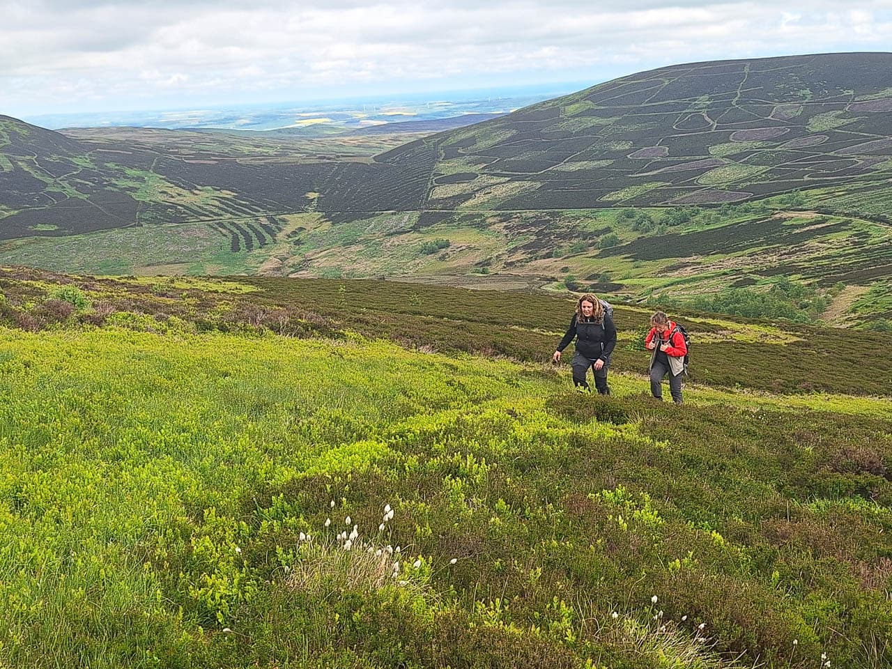 Selectie 20240520 115448 Willy Stoelzaet