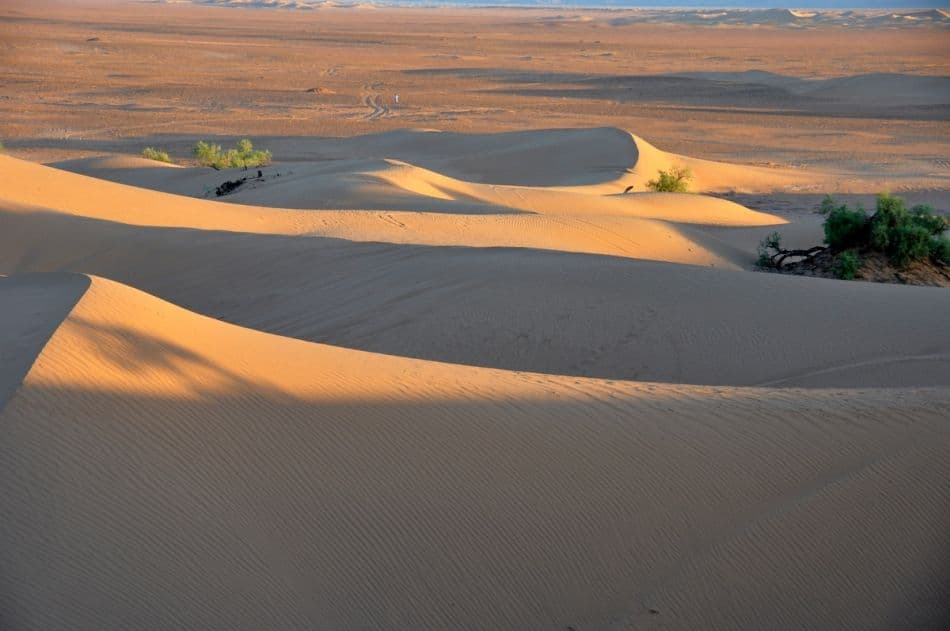 IND14-92-Marokko-Myriam-Longerstay-13-DSC_8948_export