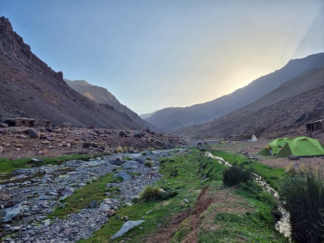 20240827 190656 Selectie Cindy Van Wallendael W950