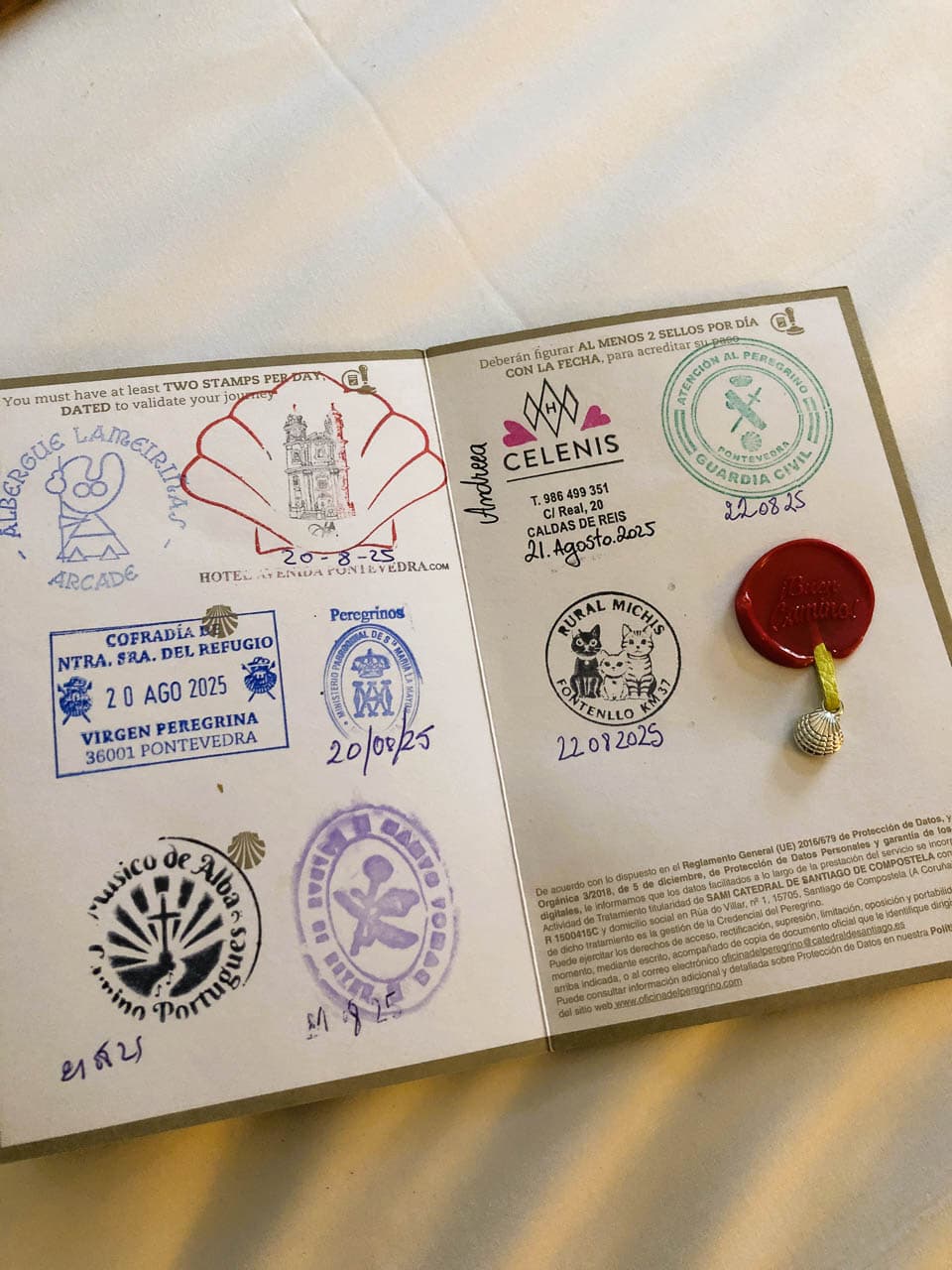 PT5PSB 20250822 152850866 Ios Stéphanie Horemans